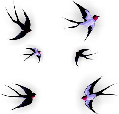 Zwaluw raamstickers set  vogelstickers