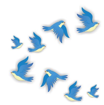 Vogelbescherming raamstickers set 8 vogels