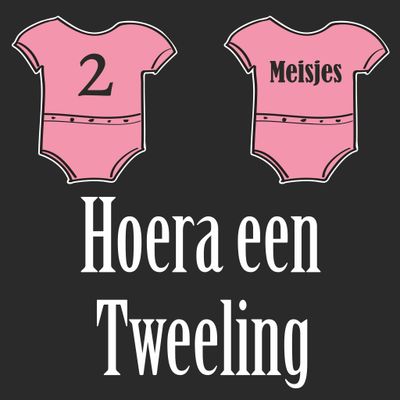 Geboorte sticker Hoera een tweeling 2 Meisjes