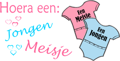 Geboorte raamstickers