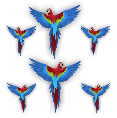 Papegaai raamsticker set vogel bescherming stickers