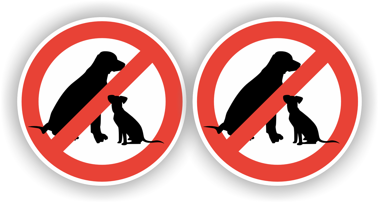 Honden niet toegestaan raamsticker set van 2 stuks spiegelbeeld