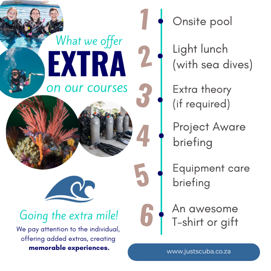 Advanced Freediver Course