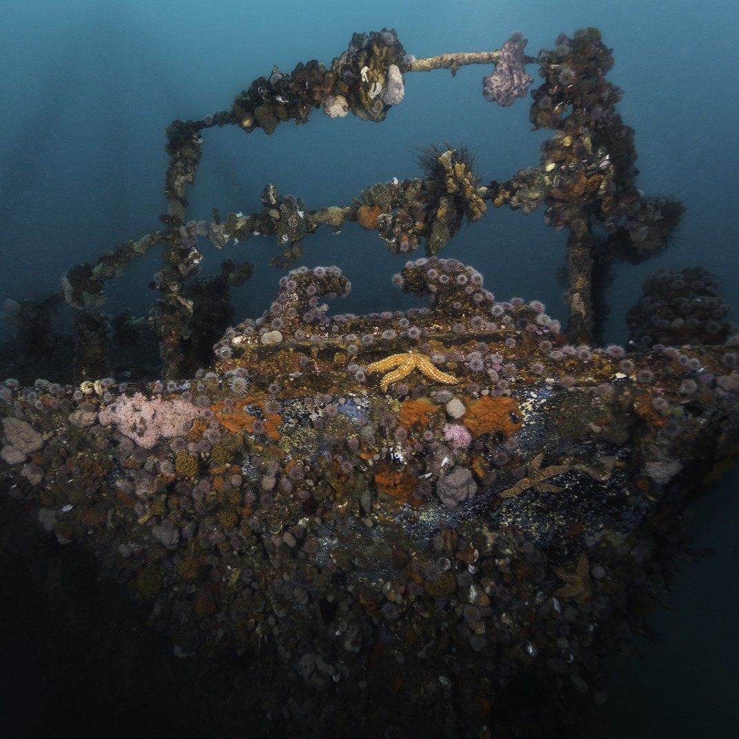 Advanced Open Water Diver