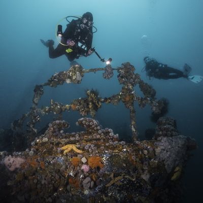 Wreck Diver Specialty Course 