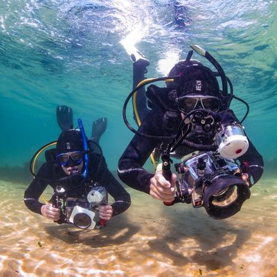 Digital Underwater Photographer Course
