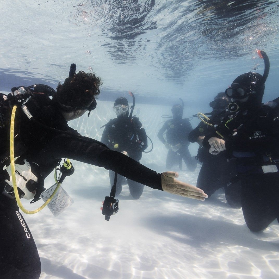 Divemaster Course