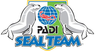 Seal Team Kids Course 