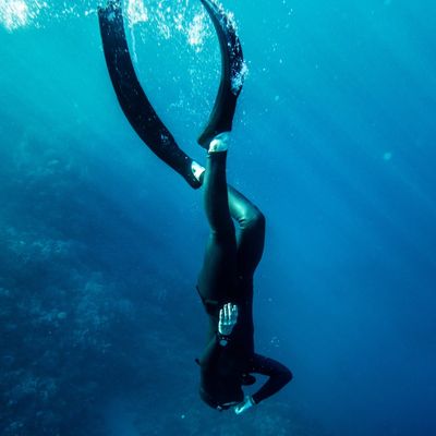 Advanced Freediver Course 