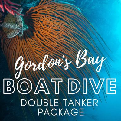 Gordon's Bay Boat Dive (Double) Package 