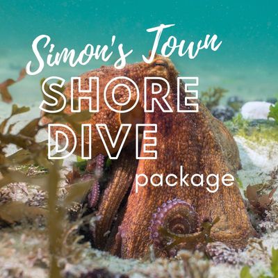 Simon's Town Shore Dive Package 