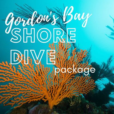 Gordon's Bay Shore Dive Package 
