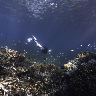 Snorkel Adventure Package