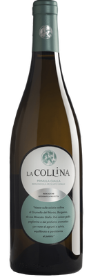 Primula Gialla Bergamasca Moscato Giallo IGT 2023