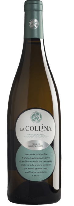 Primula Gialla Bergamasca Moscato Giallo IGT 2023 - 2024