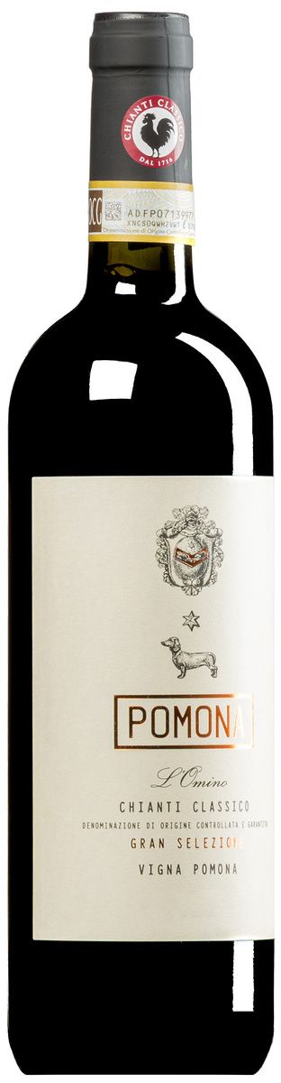 Chianti Gran Selezione l'Omino 2021 - 2022