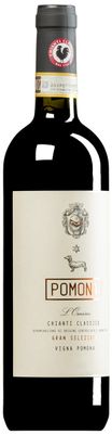 Chianti Gran Selezione l'Omino 2021 - 2022