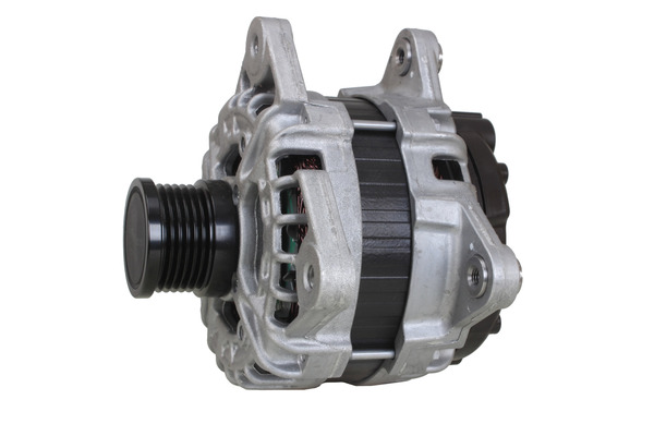 Alternator Renault 231 8246R = F000BL08N8 = 28-8659 F000BL08N8