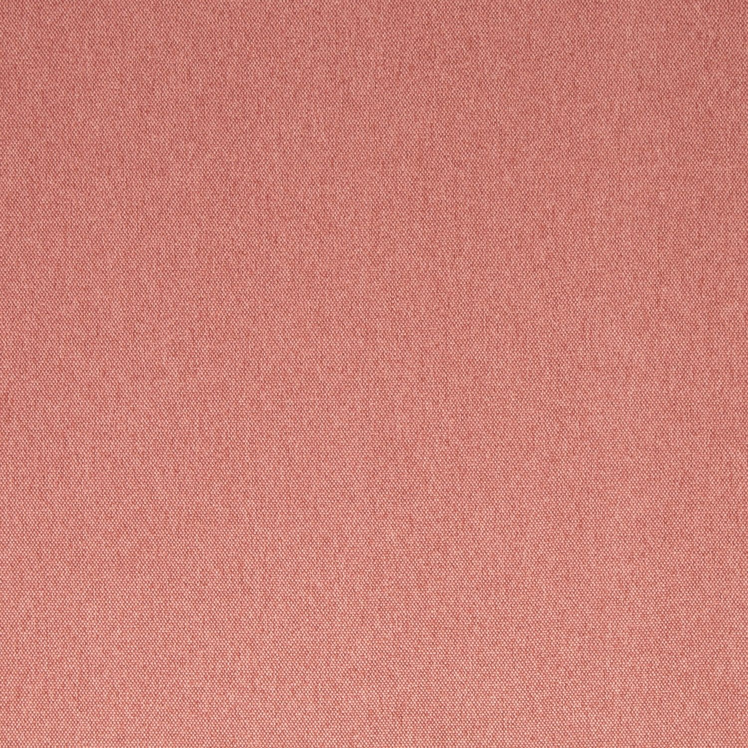 Rom donker rose