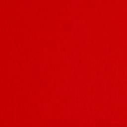 Vanessa Tricot Rood