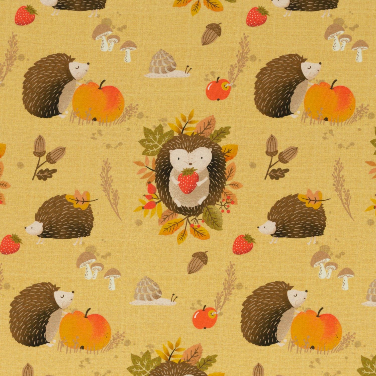 Igel Iggi  geel