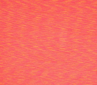 Lycra sport Oranje