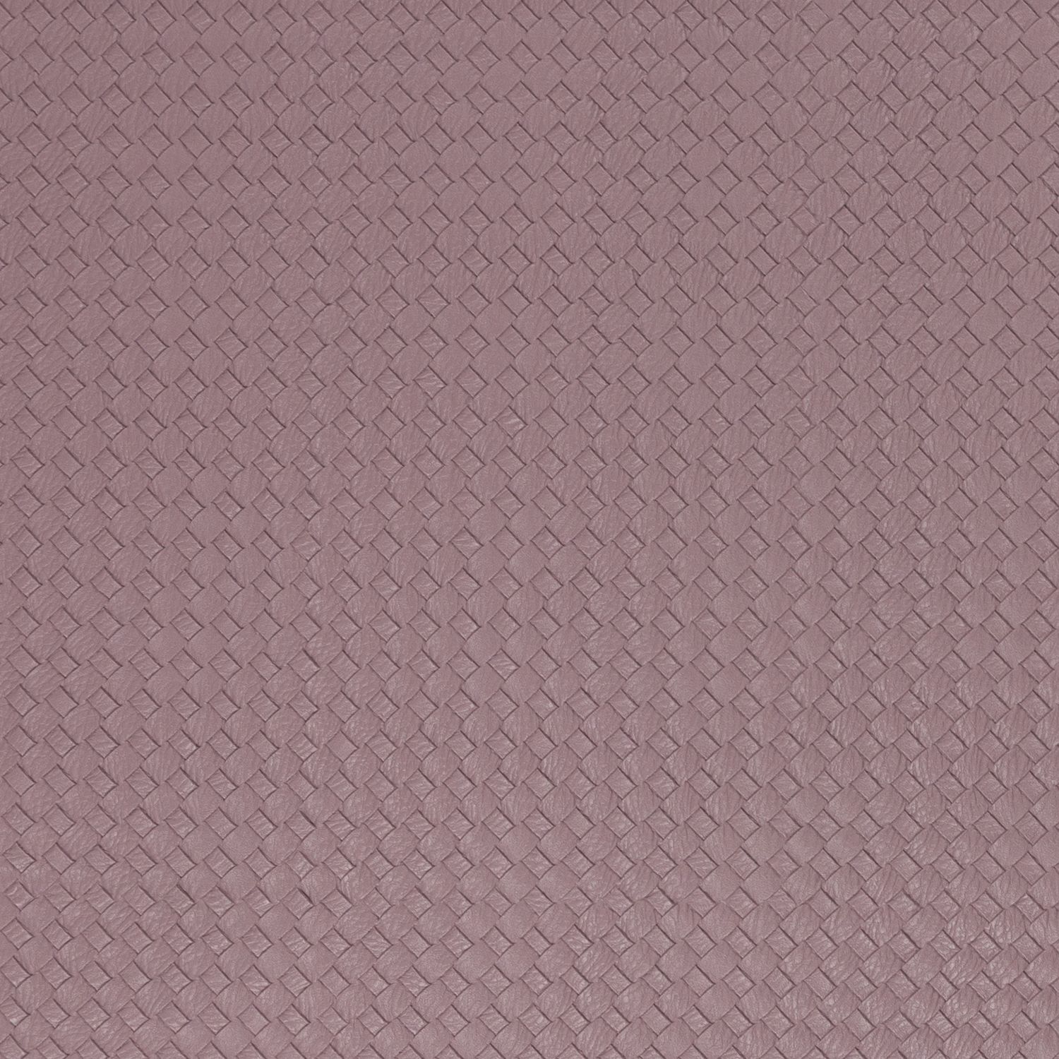 Beatrice sering braid look