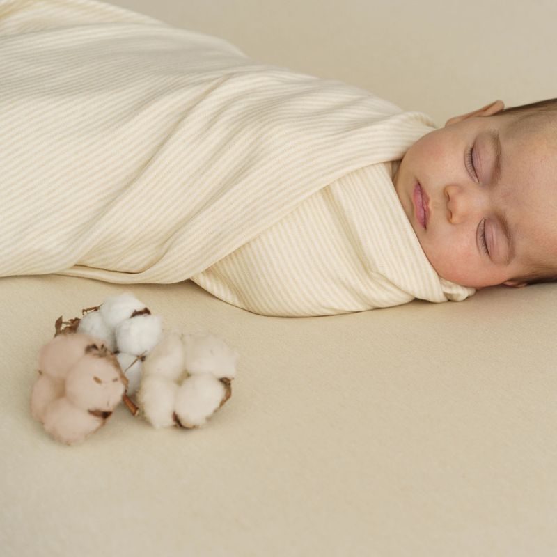 Purest cotton stripes ecru