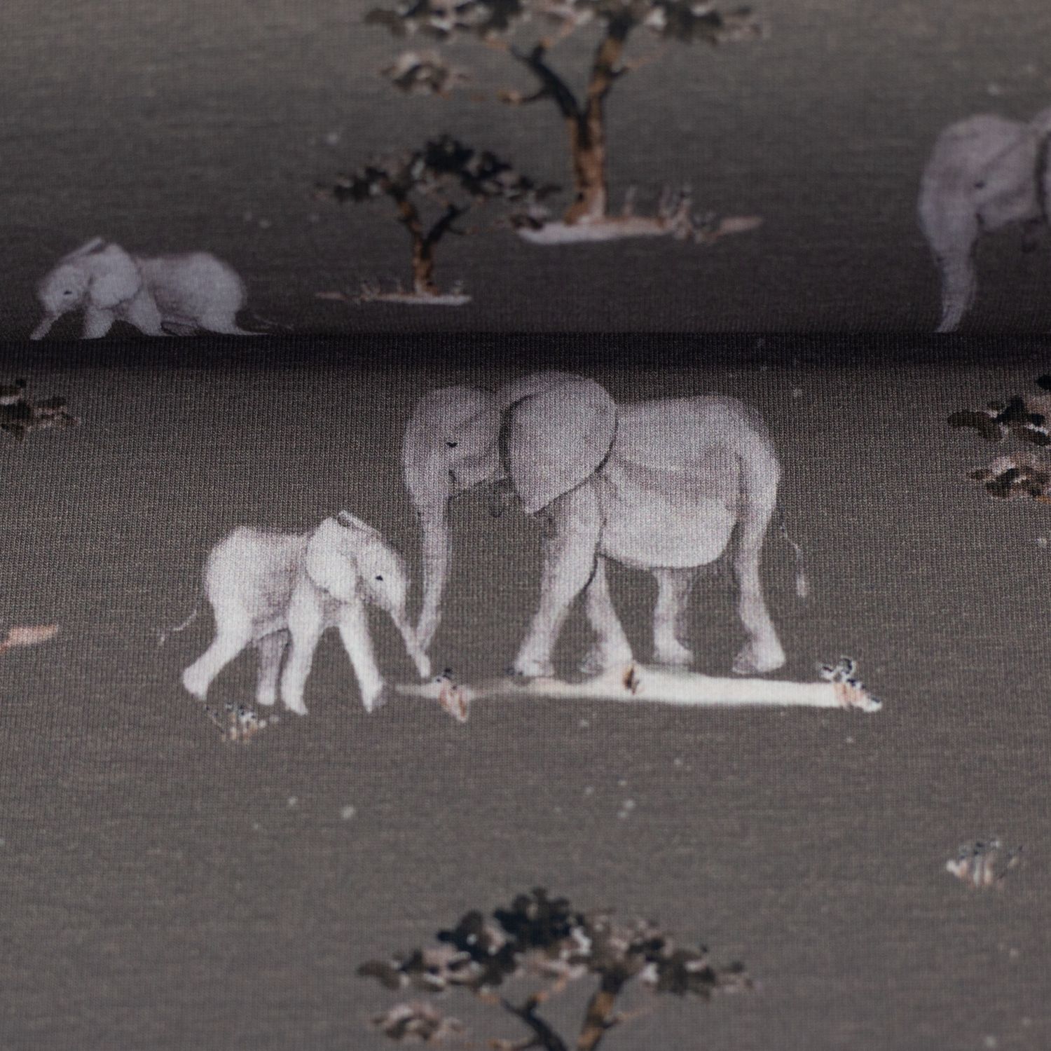 Wild animals Olifant by Christiane Zielinski