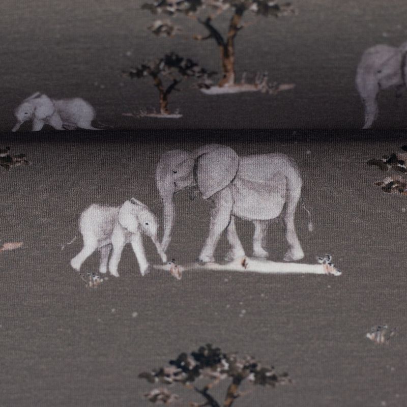 Wild animals Olifant by Christiane Zielinski