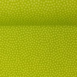 Dotty  kiwi groen