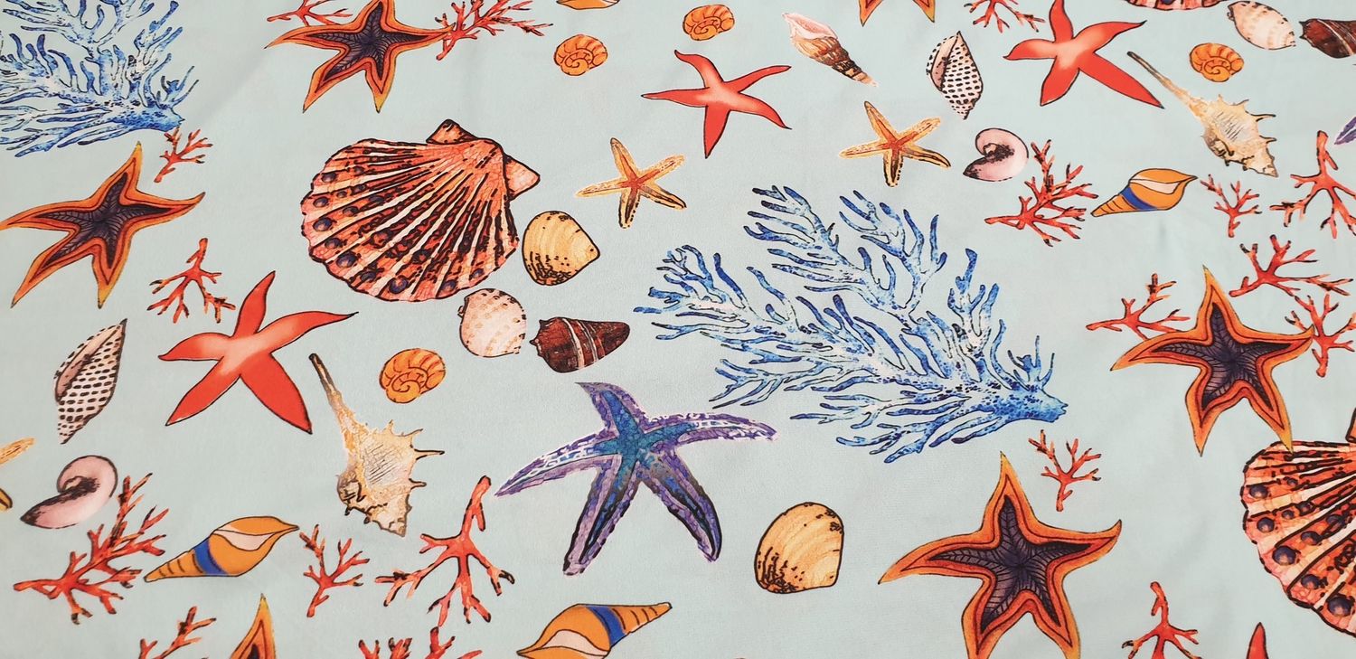 Sea stars