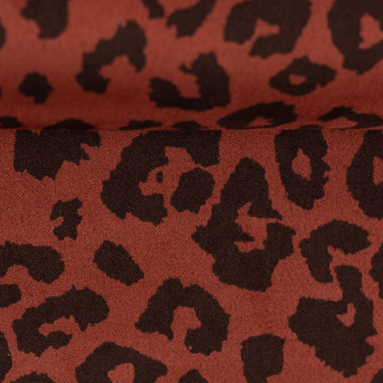 Clara roest leopard