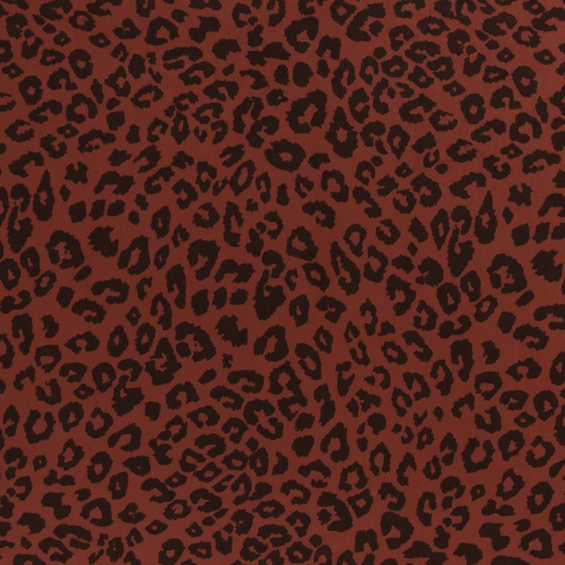 Clara roest leopard