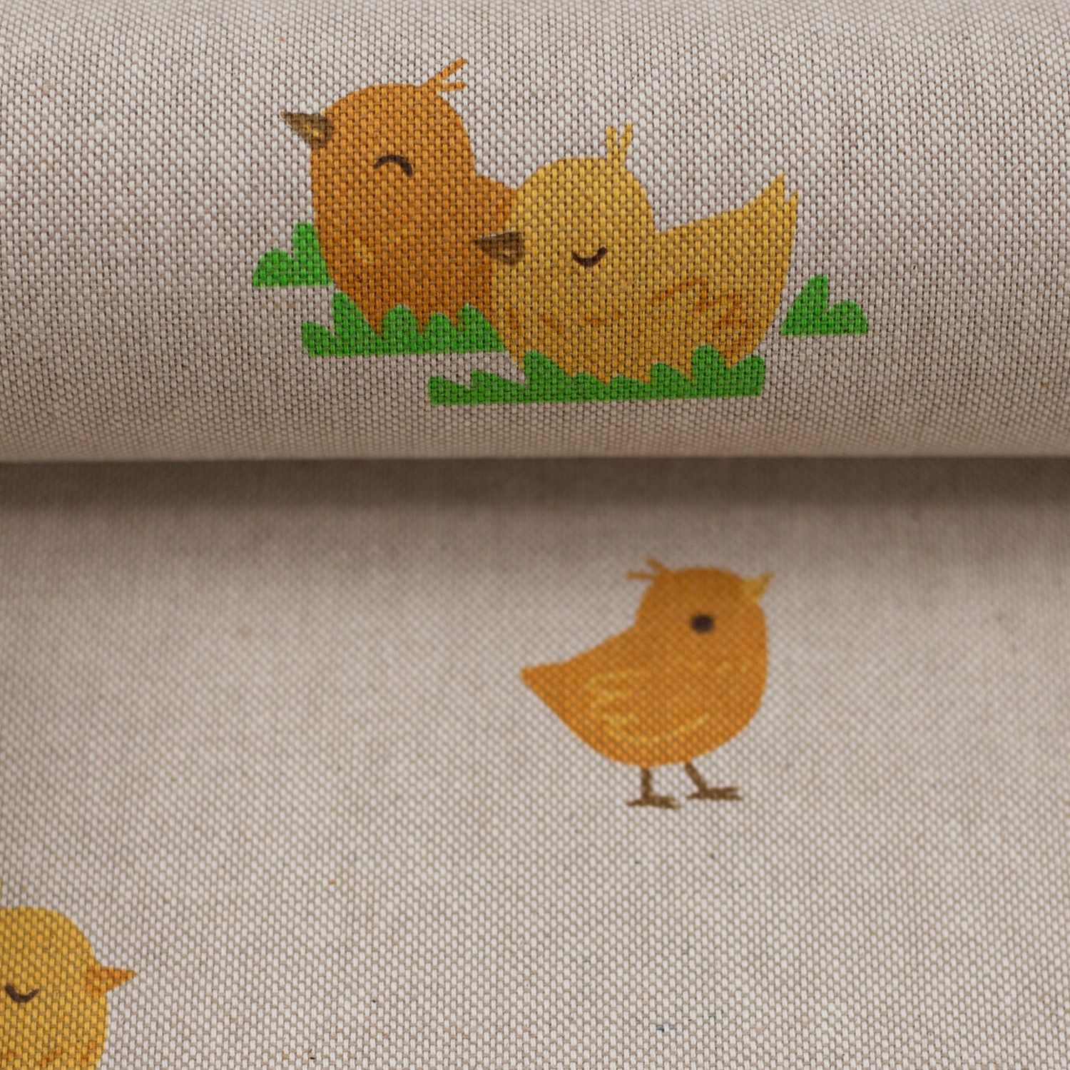 De kip en het ei en de kuikens