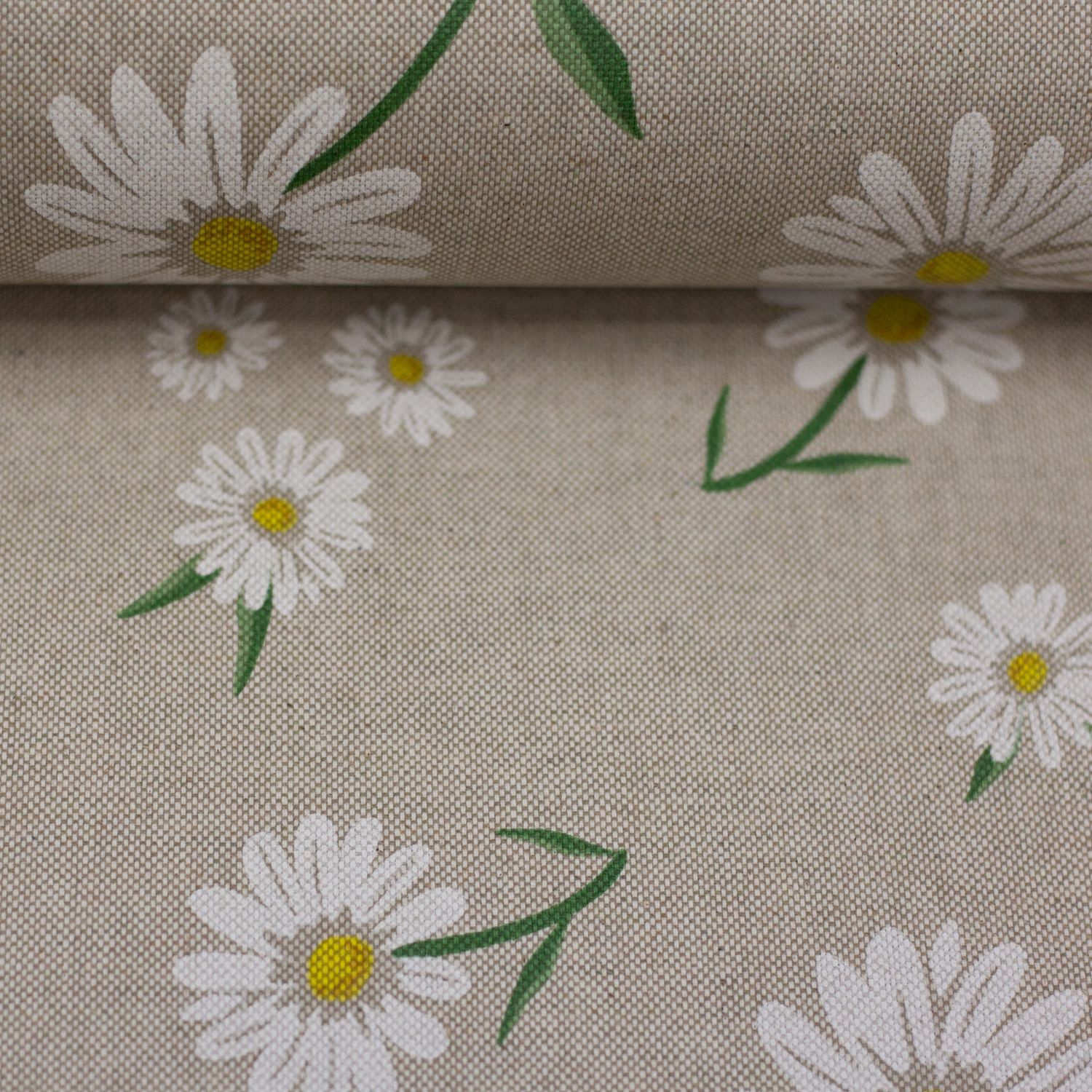 Margrietjes