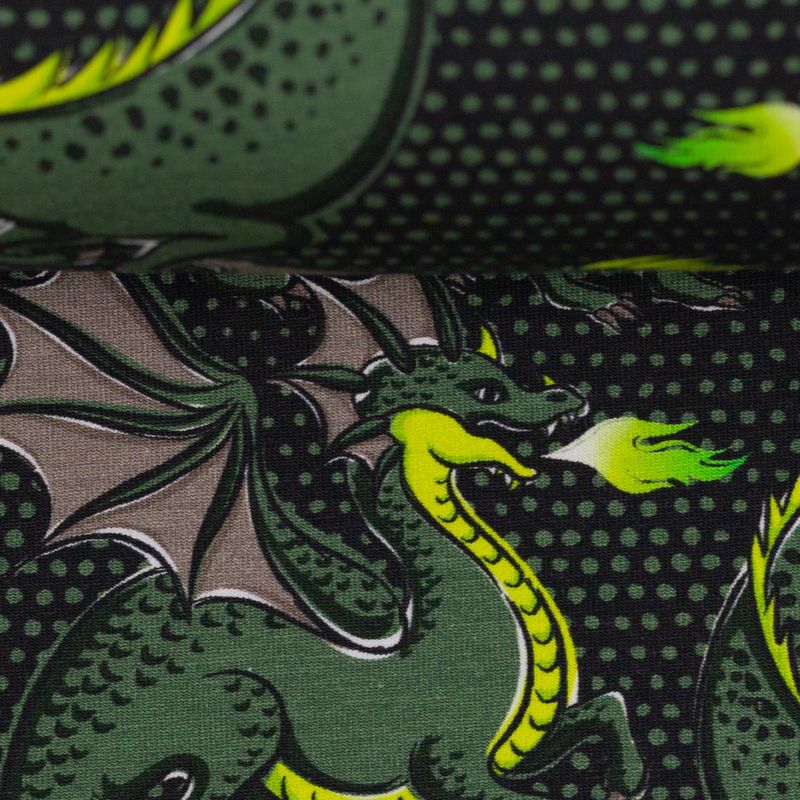 Mystic dragons dragon