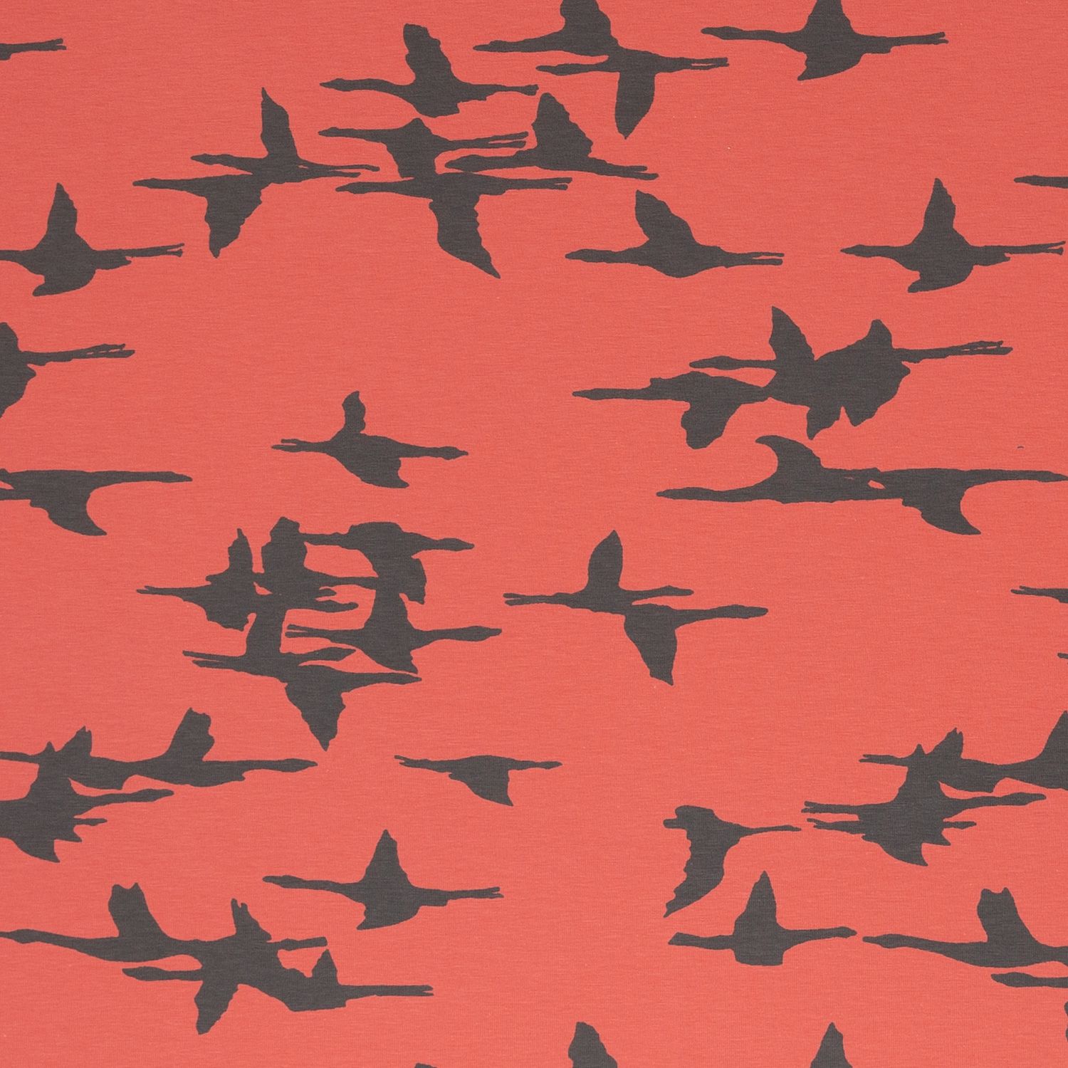 Fly away birds