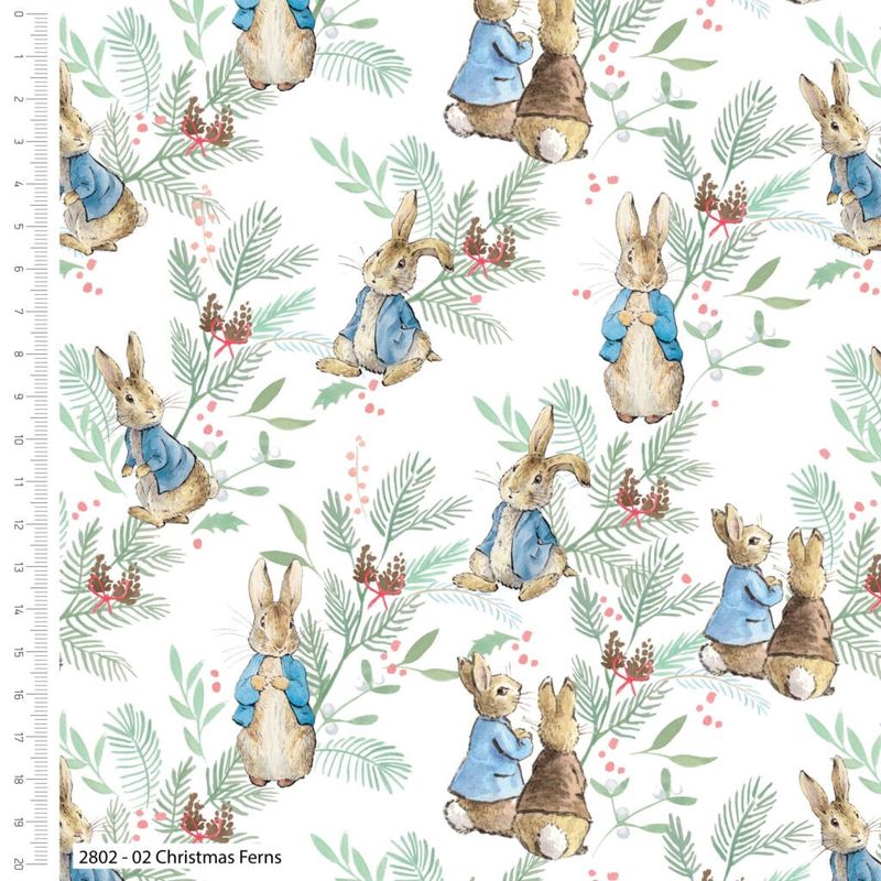 Peter Rabbit  Christmas