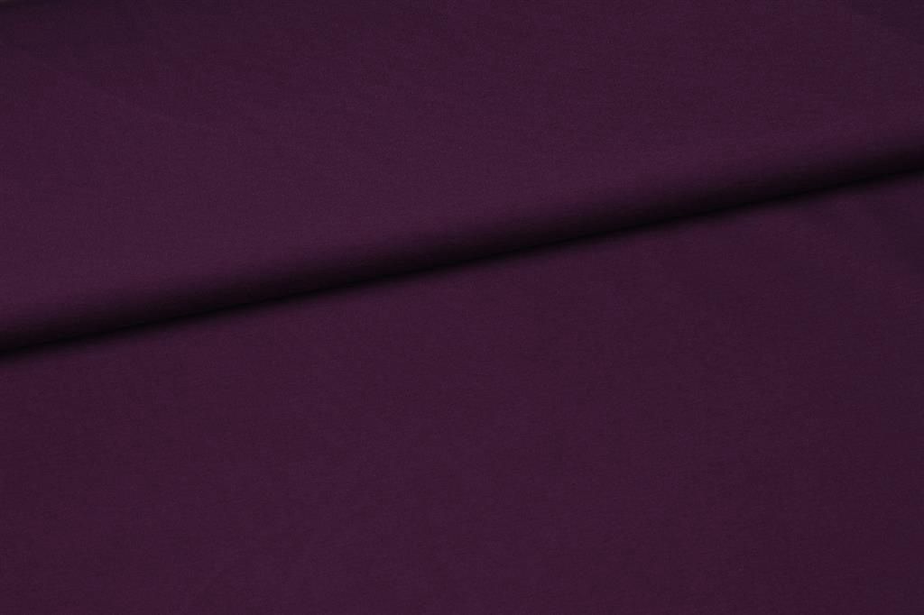 Punta di roma aubergine