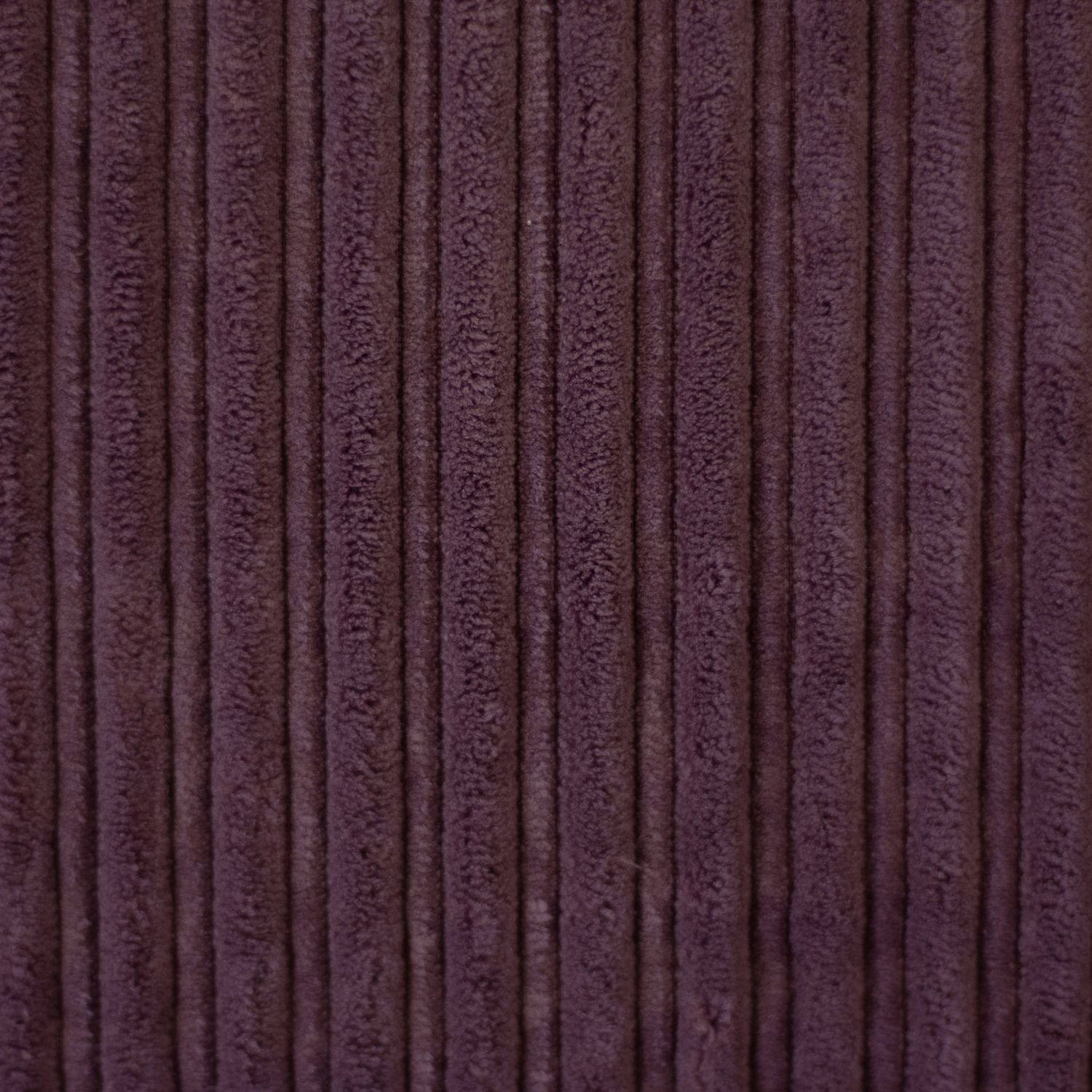 Cordula corduroy met teddy braam