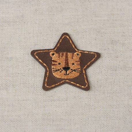 Star  bear