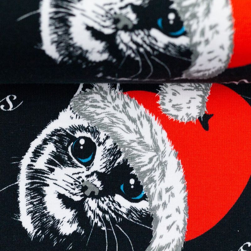 Christmas cats