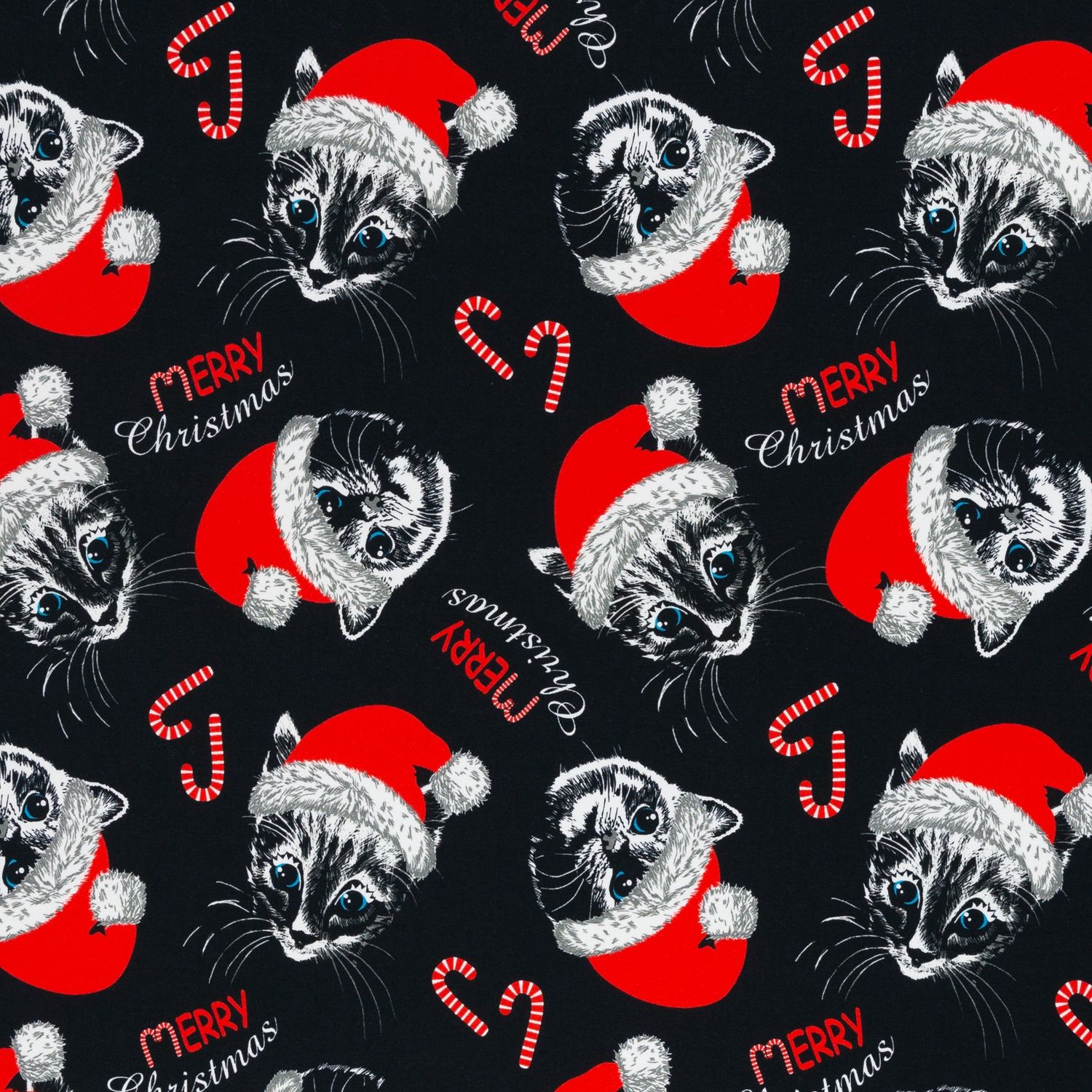 Christmas cats