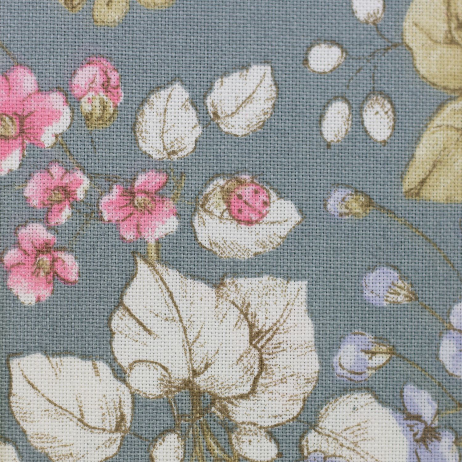 Birds and papillons