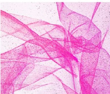 Tulle roze met  glitters