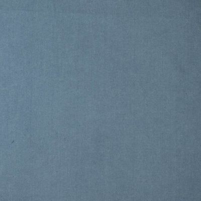 Chambray indigo denim