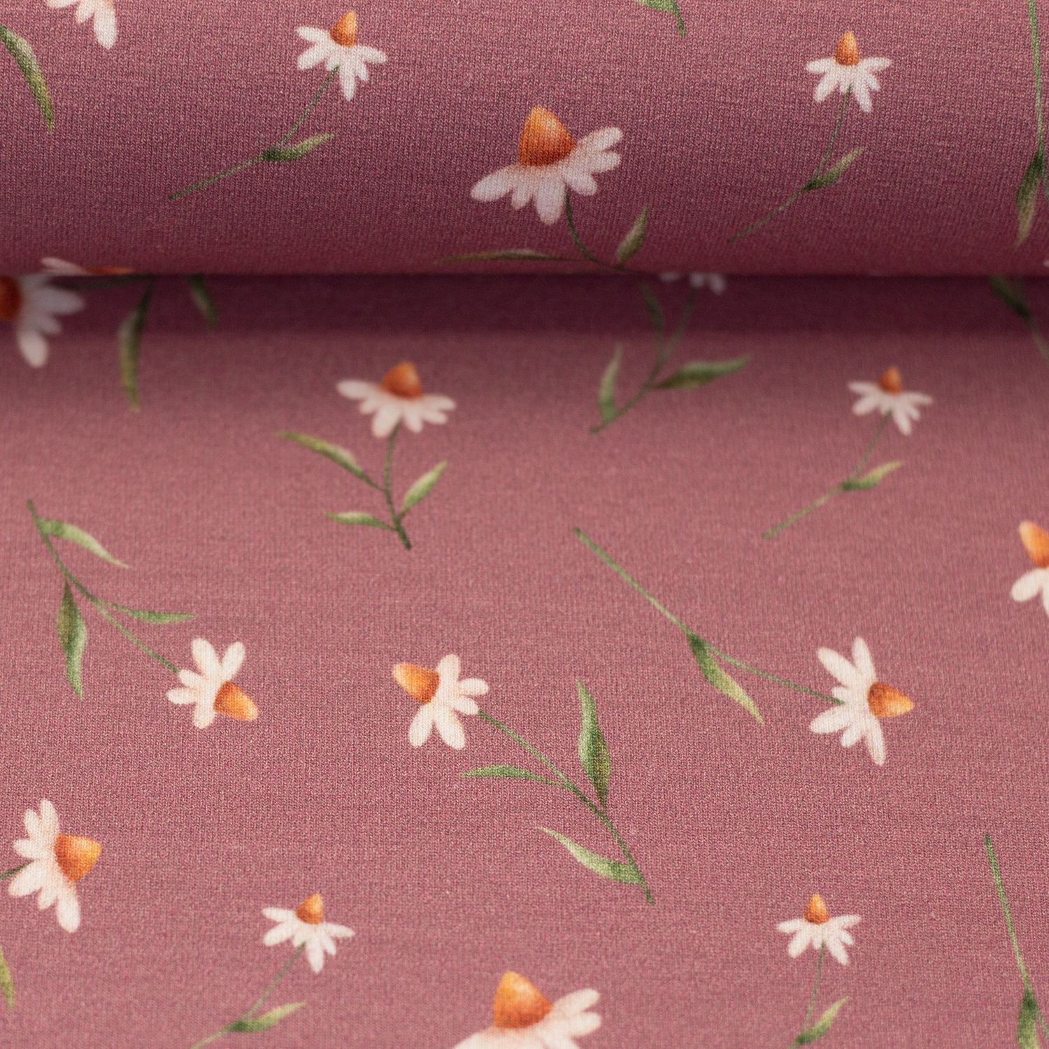 Wonderland flowers