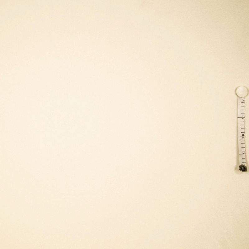 Fijne elastische spons, gebroken wit