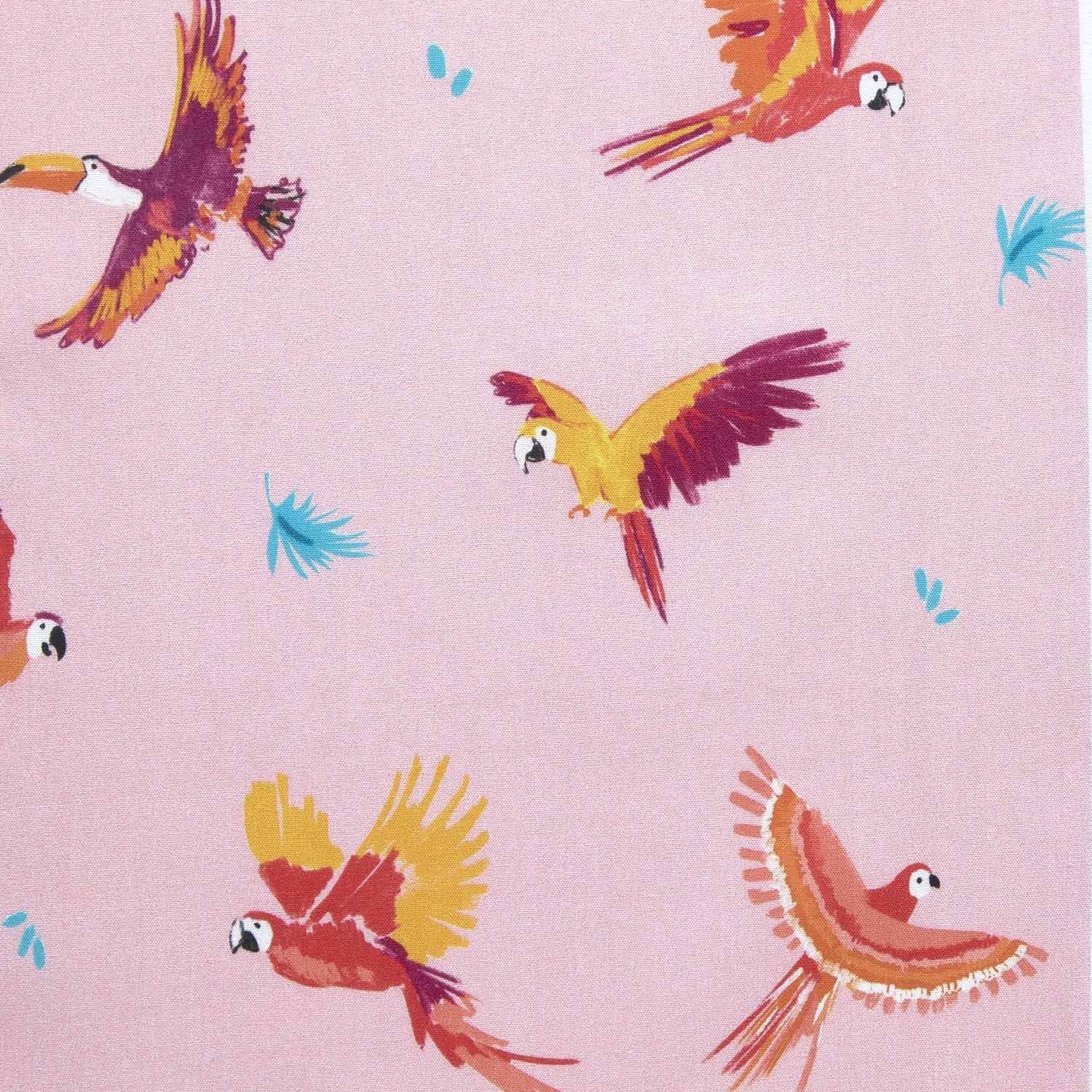 Parrots 2